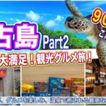 【沖縄・宮古島旅行】やっぱり宮古島は凄かった！素人だけでウミガメに会えるのか！？食べて遊んで癒されまくった宮古島観光グルメ旅（後編）