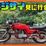 【茨城】モトブログと観光動画 くっつけてみた【旅行 バイク 紫陽花】