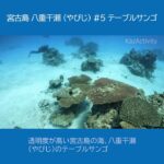 宮古島 八重干瀬（やびじ）５ ★テーブルサンゴと魚たち