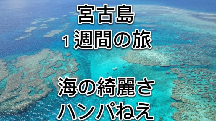 我が家の故郷、宮古島。１週間の旅