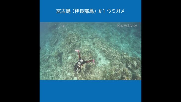 宮古島 （伊良部島）１ ★ウミガメ