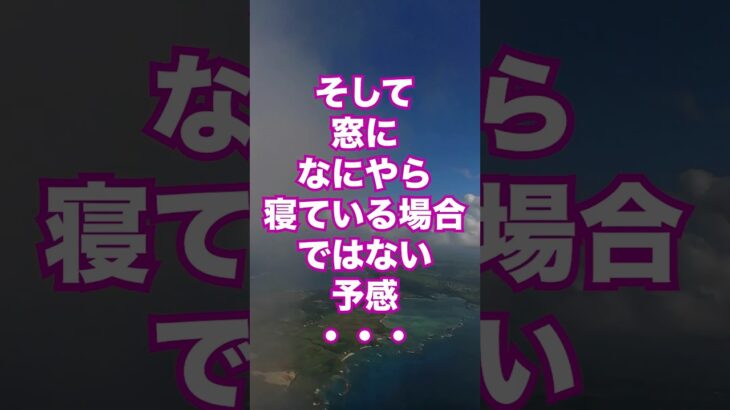 【宮古島フライト】機内で爆睡してしまうと、数万円分くらい損した気分になる…自らを試されるフライト✈️