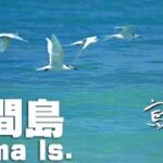 【池間島（沖縄県宮古島市）】こんなに美しい海はあっただろうか。足跡をつけるのがもったいないビーチの島。