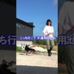 宮古島で保護犬まなちゃんのお散歩
