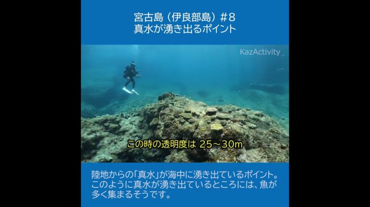 2023年 宮古島 （伊良部島）８ ★真水が湧き出るポイント