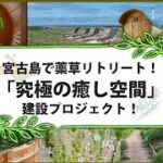 宮古島から薬草文化を復活させるライブ