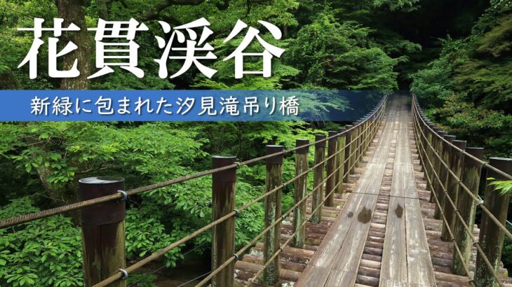 新緑の花貫渓谷/一度は行きたい茨城の美しい渓谷/汐見滝吊り橋/絶景/茨城観光旅行vlog