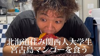 【vlog】関西から北海道に移住した大学生が沖縄（宮古島）のマンゴーを喰らう