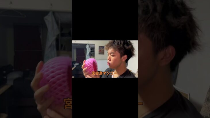 北海道住み関西人大学生が沖縄（宮古島）マンゴーを食う異種格闘技戦wwwwww