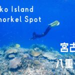 2023年 宮古島おとな2人旅【行って良かったシュノーケル ベストスポット】Miyako Island Japan best snorkel spot
