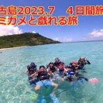 2023年 宮古島4日間旅行2023.7　宮古のウミガメに逢いに