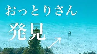 2023年 海に恋してる♡ミッキーさんIN宮古島😚💓