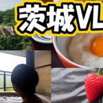 【VLOG】茨城旅行でおいしいものに舌鼓！日本三名瀑やいちご狩りの観光も！【食べ歩き】