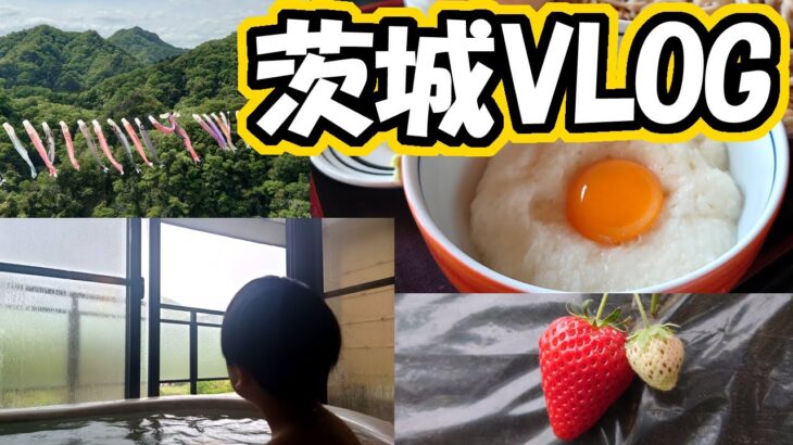 【VLOG】茨城旅行でおいしいものに舌鼓！日本三名瀑やいちご狩りの観光も！【食べ歩き】
