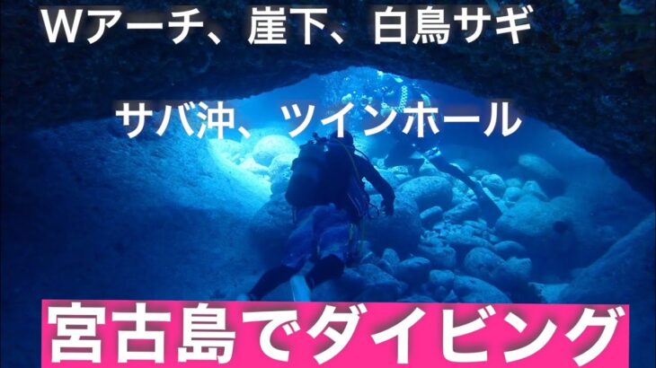 2023年 海と沖縄(宮古島でダイビングして来ました)