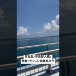 2023年 宮古島/伊良部大橋/綺麗/サンゴ/海亀見えた