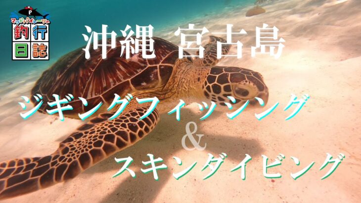 2023年 宮古島でジギングフィッシング＆ダイビング！綺麗な海を堪能！