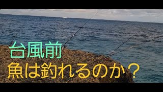 2023年 【宮古島】台風前に釣果はいいのか！