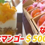 2023年 【宮古島でマンゴー食べるならここ！】宮古島マンゴーデザートトップ５  #日本マンゴー #日本のマンゴー #マンゴー #フルーツ #甘い #美味しい #果物 #ジューシー #夏の味覚 #健康 #栄養