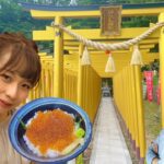 【茨城観光vlog②】那珂湊おさかな市場、大洗磯前神社、ほしいも神社、フライングガーデン