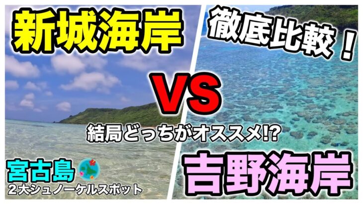 2023年 【新城海岸vs吉野海岸】宮古島の２大シュノーケルスポットを徹底比較！