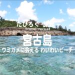 2023年 【旅録】宮古島 ウミガメに会える わいわいビーチ（2023.9.9）
