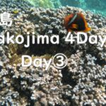 2023年 宮古島Day3(3泊4日) / Miyakojima Day3(3nights 4days)