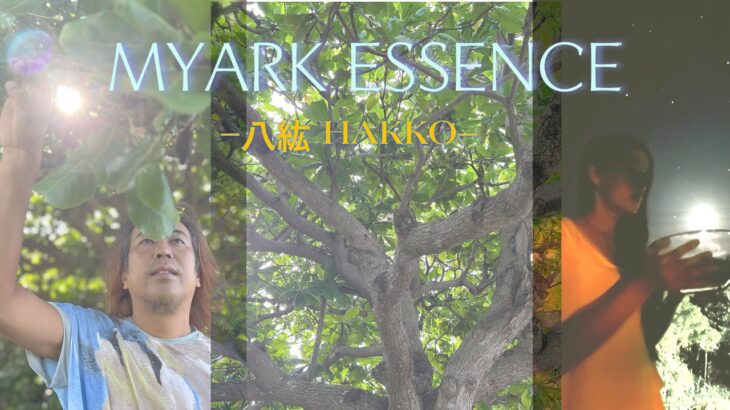 2023年 MYARK ESSENCE −八紘 HAKKO− #宮古島フラワーエッセンス#MYARK ESSENCE #フラワーエッセンス#レイエッセンス#ハートのエネルギーを流す