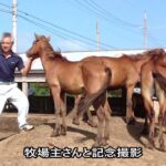 2023年 Miyako Horses, Okinawa 沖縄県宮古島に生息する希少な馬「宮古馬」