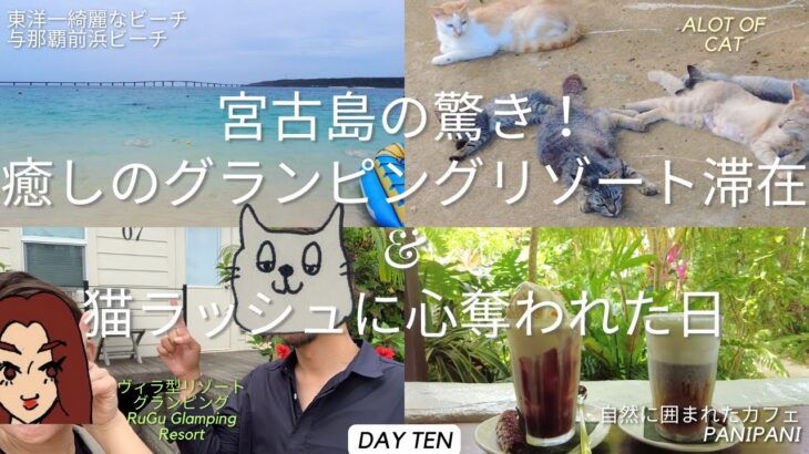 2023年 宮古島の驚き！癒しのグランピングリゾート滞在&猫ラッシュに心奪われた日 OKINAWA DAILY LIFE VLOG DAY TEN