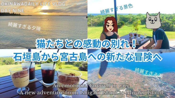 2023年 猫たちとの感動の別れ！石垣島から宮古島への新たな冒険へ OKINAWA DAILY LIFE VLOGDAY NINE