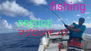 2023年 【fishing】PREDGE宮古島でマグロジギング前編