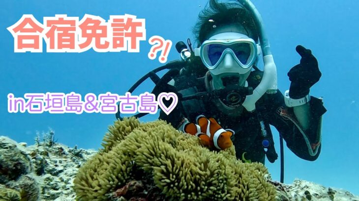 2023年 ダイビングのライセンス取得日記in石垣島&宮古島♡