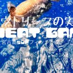 2023年 アウトリーフの実力【宮古島supフィッシング】【CHEATGAME】【沖縄釣り】【魚探】