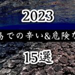 2023年 宮古島旅行のツラかった体験をお話します。