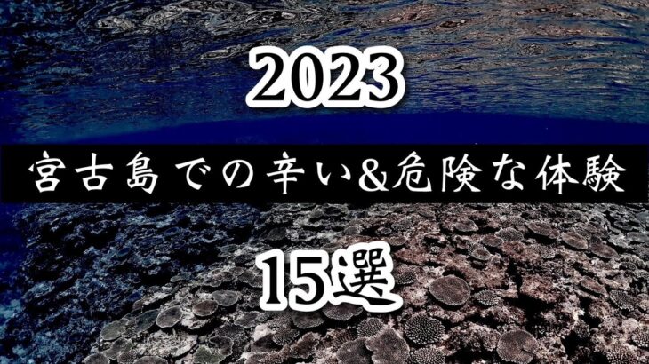 2023年 宮古島旅行のツラかった体験をお話します。