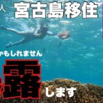 2023年 【宮古島移住vlog】島の闇を暴露します。移住を考えているだけ見てください【宮古島のリアル】