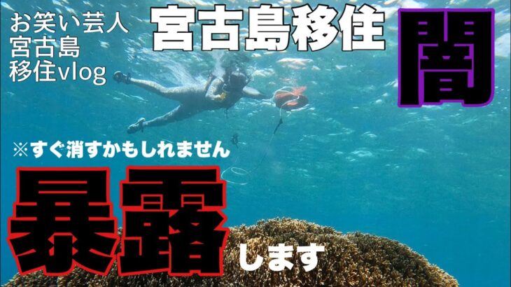 2023年 【宮古島移住vlog】島の闇を暴露します。移住を考えているだけ見てください【宮古島のリアル】