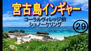 2023年 宮古島　インギャー　コーラルヴィレッジ前　シュノーケリング　29　　2023.10.27