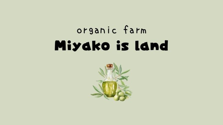 2023年 400坪の農地を手に入れ宮古島にorganic farmを作ります