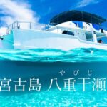 2023年 【宮古島 八重干瀬】日本最大級の珊瑚礁群でシュノーケル 4K動画 Snorkeling in Yabiji, largest coral reef area in Japan