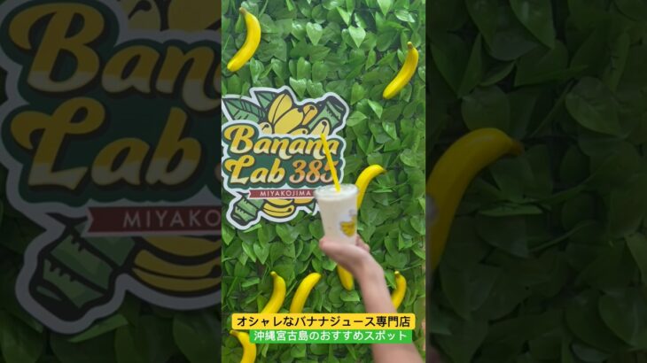 2023年 超可愛い！沖縄宮古島のバナナジュース専門店 【Banana Lab 385】が超絶美味すぎた！