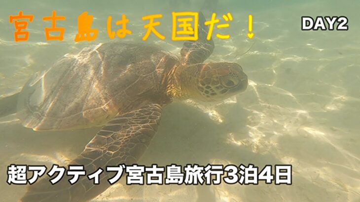 2023年 【宮古島旅行】DAY2 食べて飲んで思いっきり遊ぶ超アクティブな宮古島。宮古島は想像の遥か上を行く天国だった！　　＃宮古島グルメ　＃居酒屋　＃アフアフ　＃宮古ブルー　＃JAL宮古島