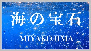 2023年 【４K 水中映像】光り輝く海の宝石　沖縄県宮古島市下地島通り池・鍋底池南側の名もなきビーチ