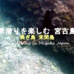 2023年 スキンダイビング 宮古島｜Skin Diving Miyako – 036
