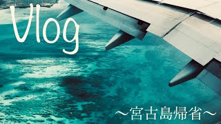 2023年 【Vlog】故郷 宮古島へ帰省