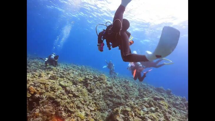 2023年 宮古島diving　リベンジしてきたぜぃ！！