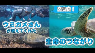 2023年 宮古島のウミガメさんが教えてくれた生命のつながり！#量子力学　#ゼロポイントフィールド　#量子力学的習慣術　#パラレルワールド #quantum