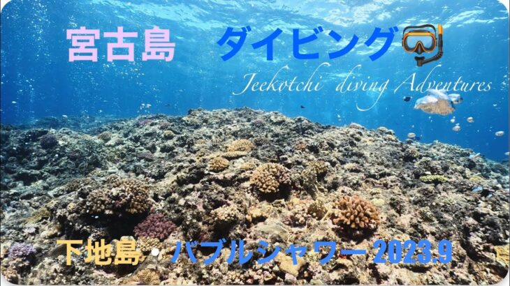 2023年 宮古島🏝ダイビング🤿下地島🪸魔王の宮殿🏛️から浸み出てくるエアーのバブルシャワー🚿😆👍