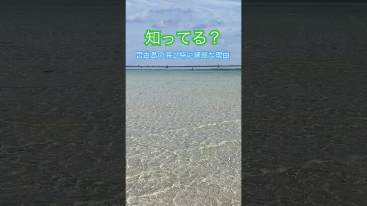 2023年 宮古島の海が特に綺麗な理由は『○○と○○』が無いから！沖縄の中でも最上級の透明度！